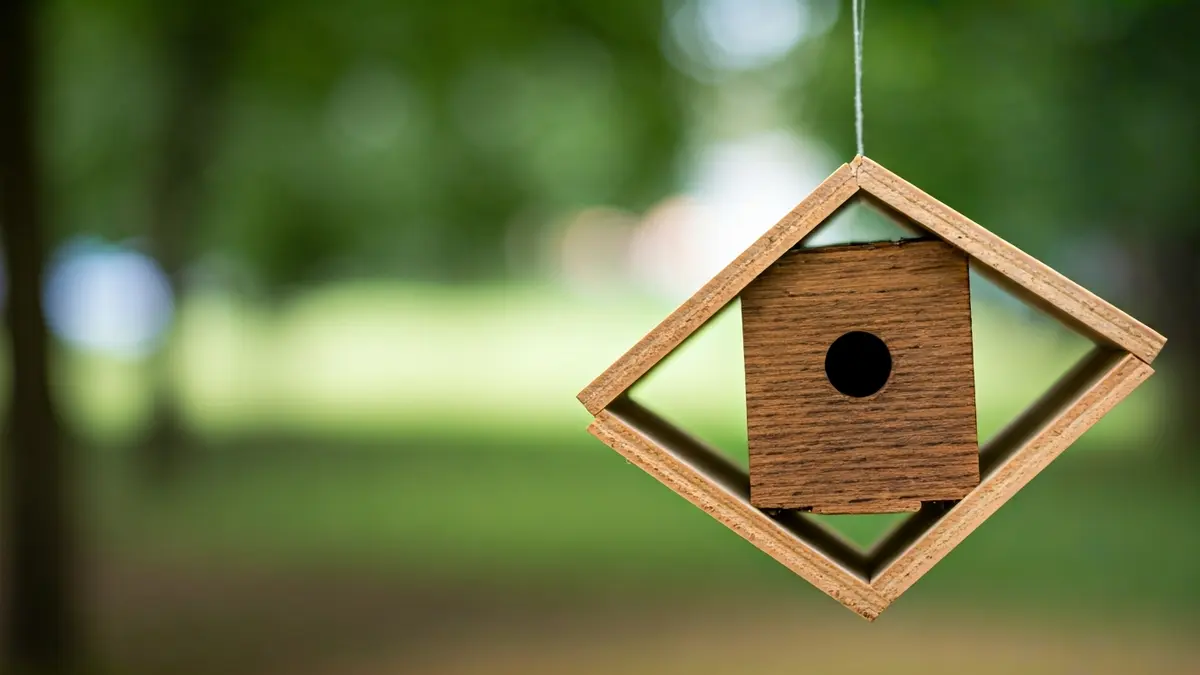 Imaxe xenérica dunha trampa caseira para velutinas.