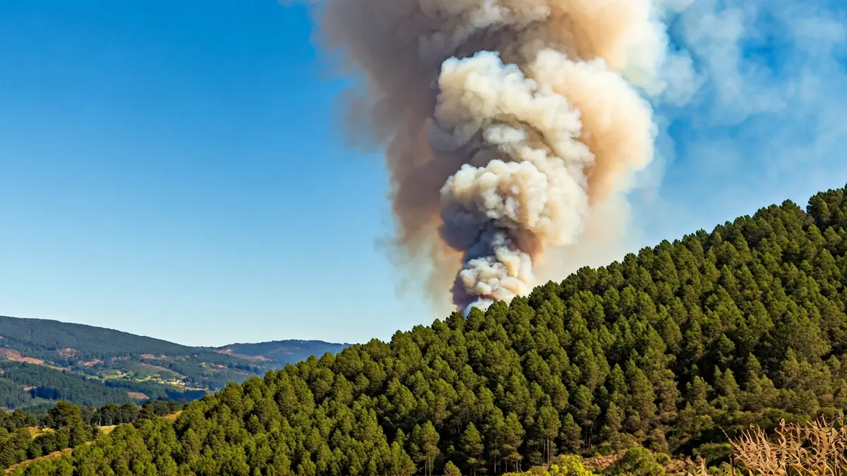 Imagen genérica de una columna de humo sobre un bosque, representando un incendio forestal.