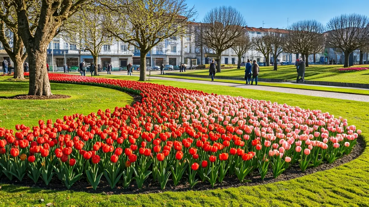 Imaxe dun parque público en Lugo con flores de primavera.