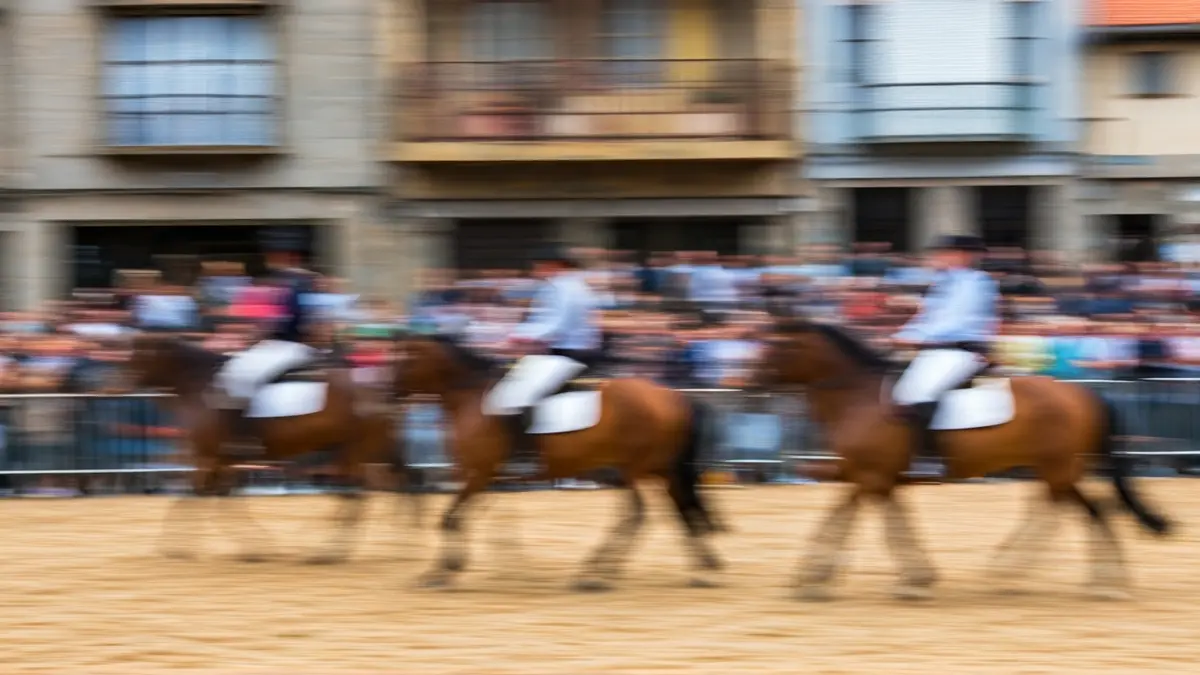 Imaxe da Feira do Cabalo de Moeche, con cabalos e xinetes en movemento.