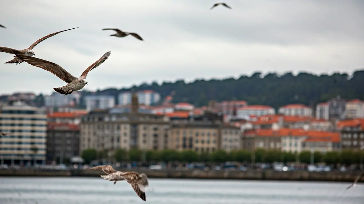 Imagen genérica de gaviotas sobre una ciudad gallega.
