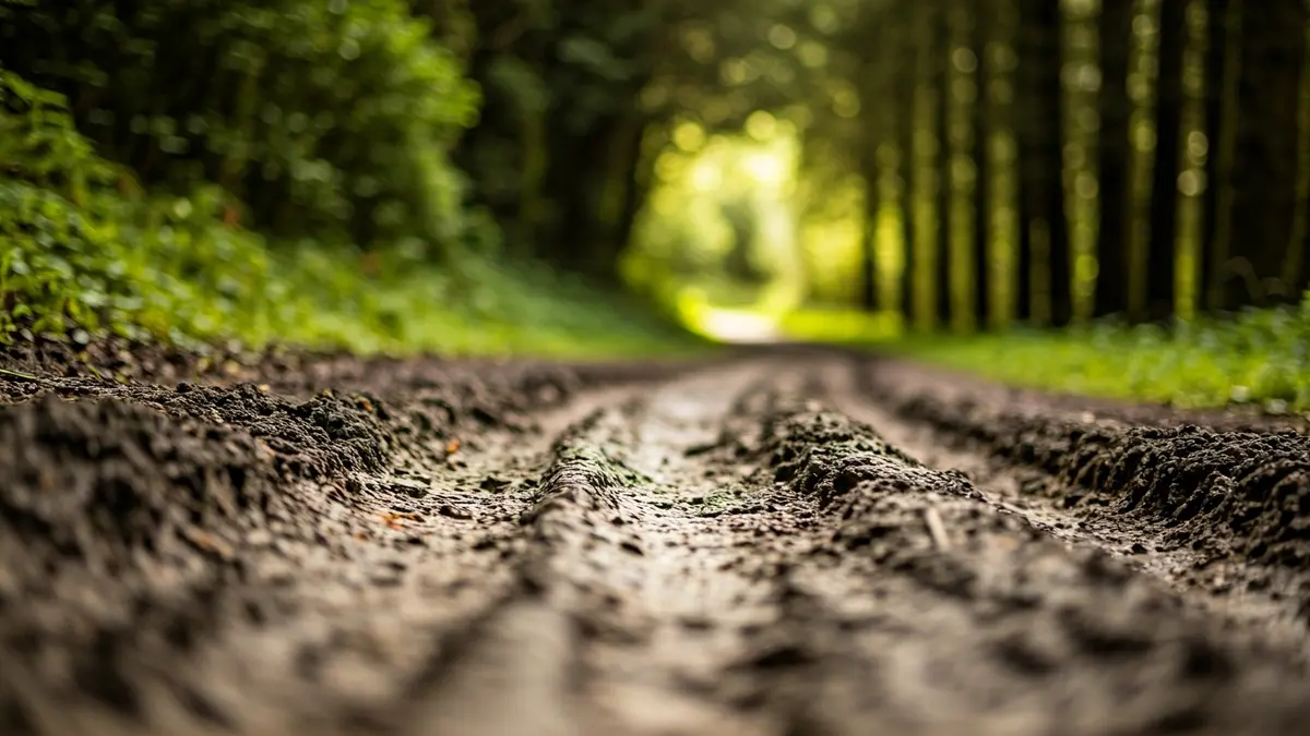 Imaxe xenérica dunha corredora de terra nun bosque galego.