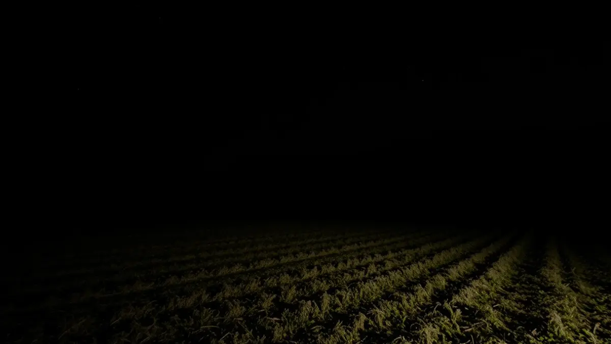 Imagen genérica de un paisaje rural gallego de noche, con efecto de temblor sutil.