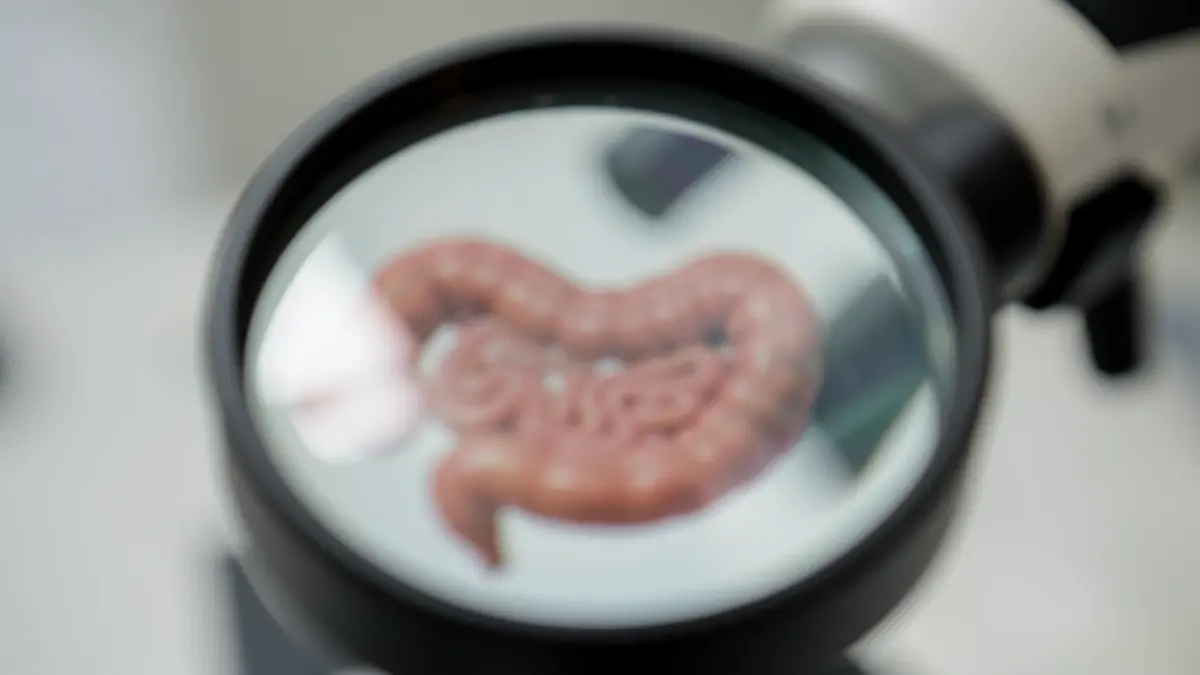 Imaxe xenérica de investigación médica sobre enfermidades inflamatorias intestinais.