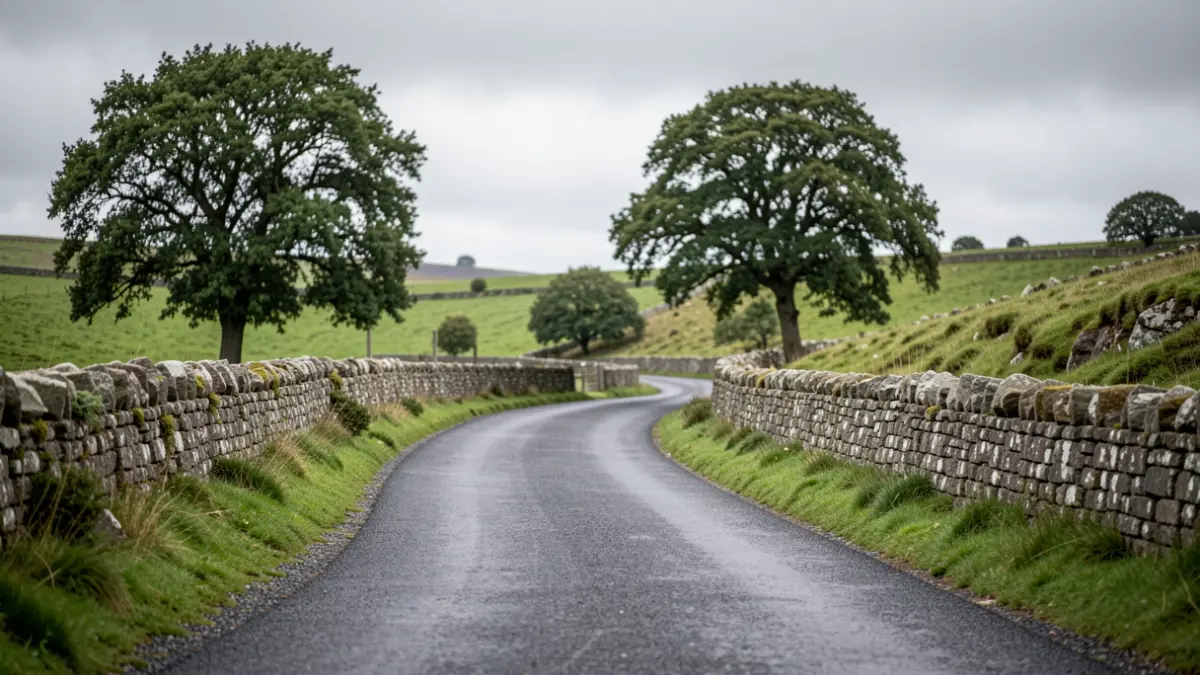 Imagen genérica de una carretera gallega con tiempo nublado.