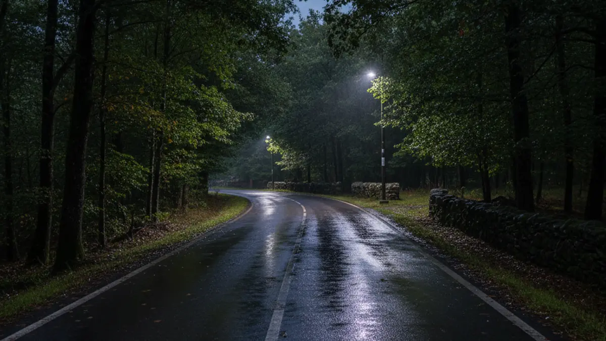 Imagen genérica de luces de emergencia reflejándose sobre asfalto mojado en una carretera gallega.
