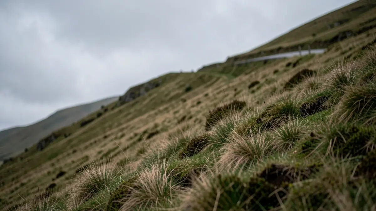 Imagen genérica de una pendiente escarpada en Galicia.