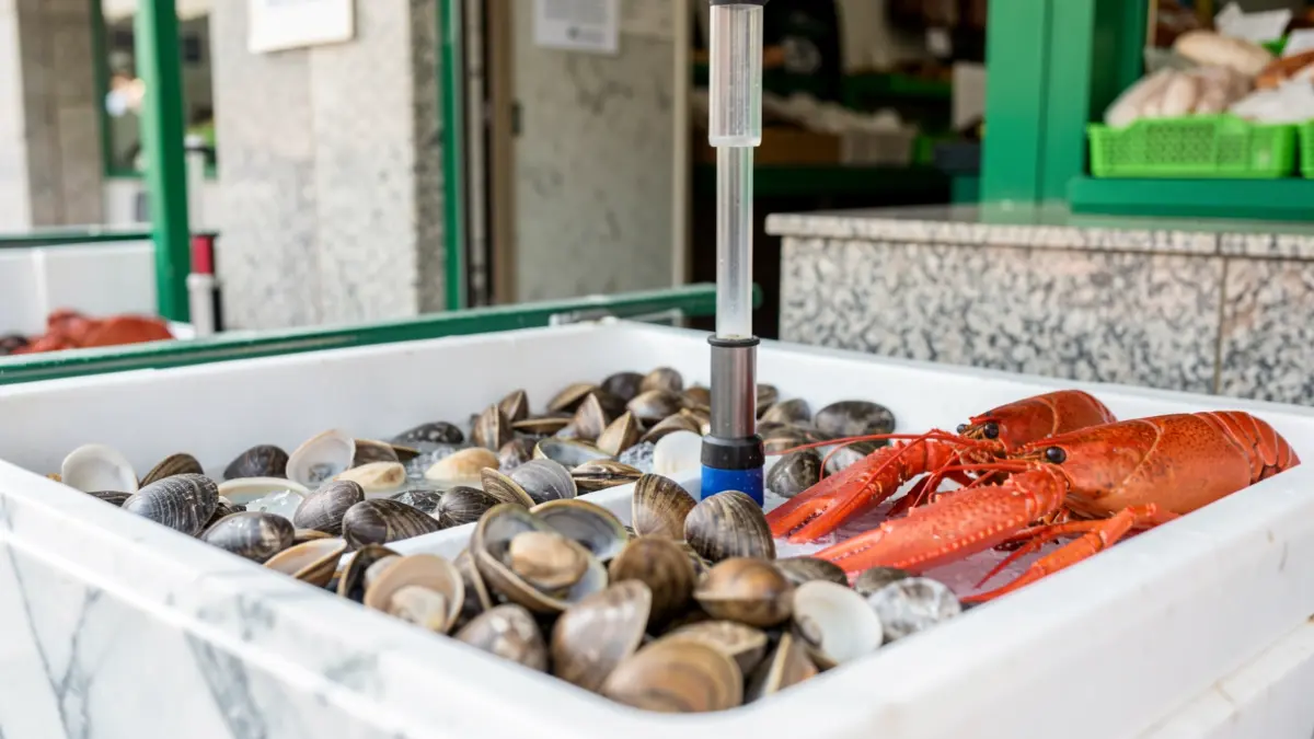 Imagen de mariscos vivos en tanques de exhibición en un mercado de Ferrol.