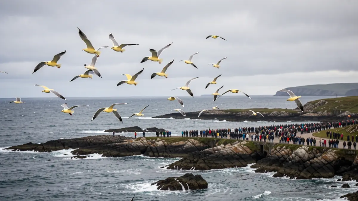 Imagen genérica de gaviotas volando sobre las Islas Atlánticas de Galicia.