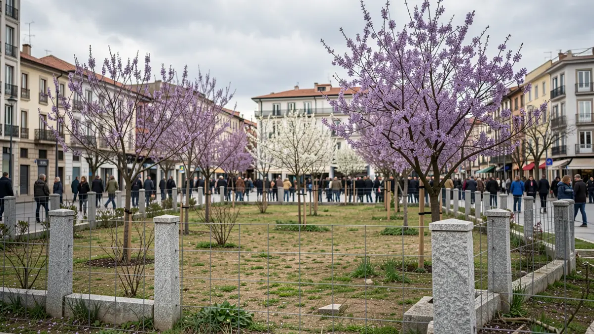 Imagen genérica de un solar urbano en Galicia con elementos de piedra granítica y árboles.
