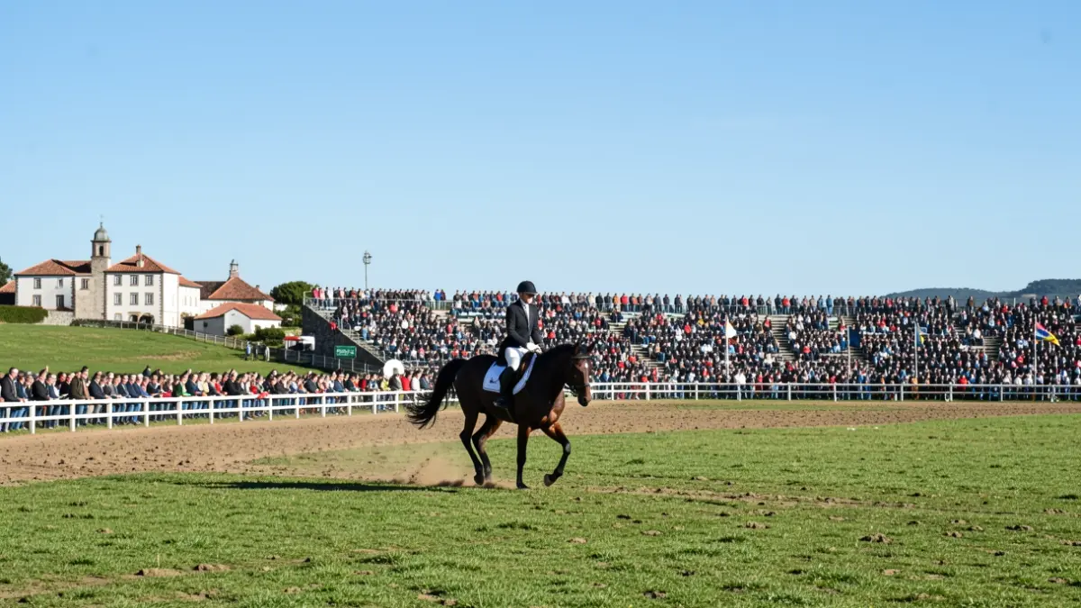 Imagen genérica de una competición hípica en Ferrol.