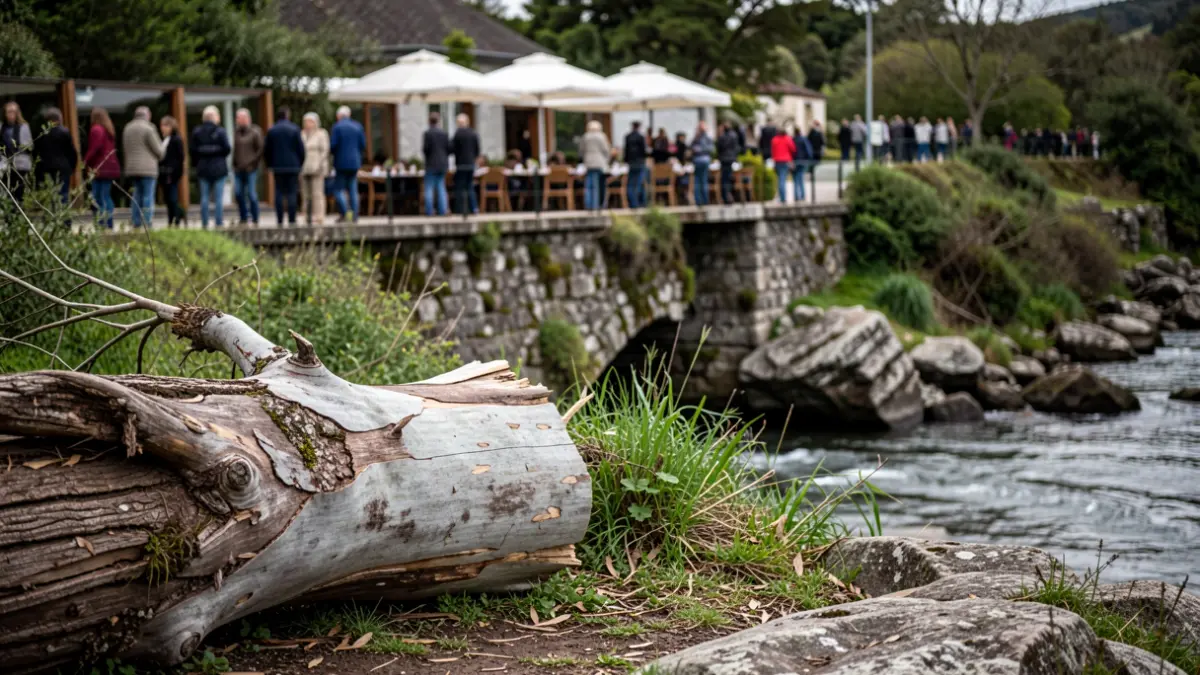 Un eucalipto tumbado en la orilla del río Cádavo, cerca de un restaurante en Fene.
