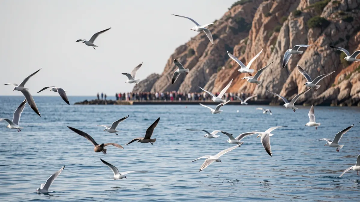 Imaxe xenérica de aves mariñas voando sobre o mar.
